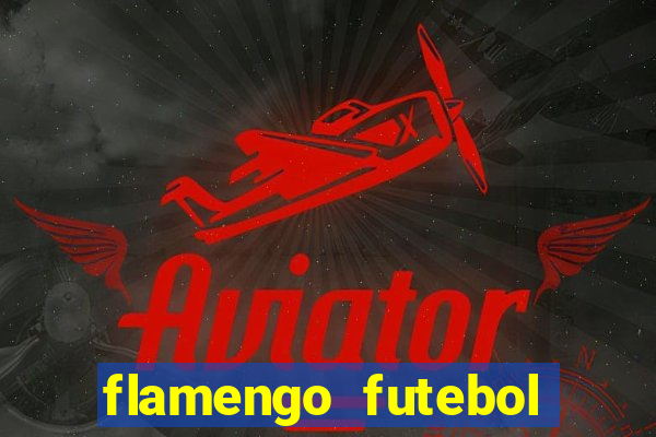 flamengo futebol play hd